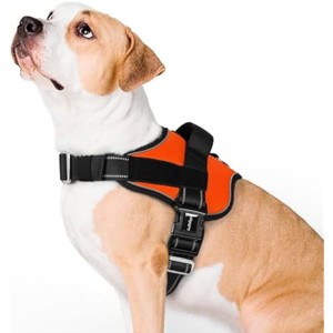 rabbitgoo Dog Harness for Large, Easy On Pet Vest with One  Handle, Reflective for Safety Walking, Training, Orange, L - 1 of 1