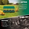 Chicken Nesting Boxes, 4 Compartment Metal Roll Away Nest Box for Chicken and Poultry to Collect Eggs, Chicken Laying Box for Chicken Coop - 4 of 4