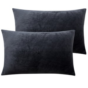 2 Pack Zippered Velvet Pillowcases, Super Soft and Cozy Luxury Fuzzy Flannel Pillow Cases - NTBAY - 1 of 4