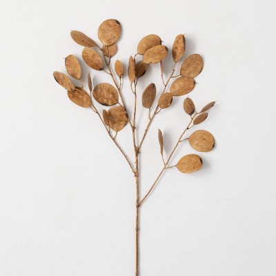 Sullivans Artificial Dried Brown Linaria Stem 33"H Brown