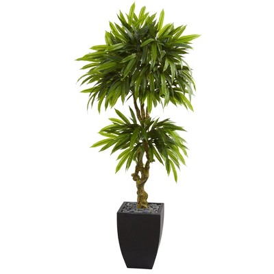 5.5ft Mango Artificial Tree In Black Planter - Nearly Natural