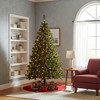 Northlight Pre-Lit Medium Mixed Classic Pine Artificial Christmas Tree - 6' - Warm Clear LED Lights - 4 of 4