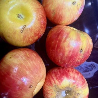 Guest review image 2 of 5, zoom in