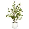 Nearly Natural 18-in Olive Silk Tree with Vase (Set of 2) - 3 of 4