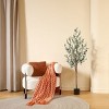 Artificial Olive Tree with Realistic Wood Trunk & Lush Leaves – Slim Pencil Faux Olive Plant for Home and Office Decor - 2 of 4