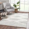 Hauteloom Trunding Plush Area Rug in Gray - 2 of 4
