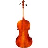 Eastman VA401 Ivan Dunov Series Step-Up Viola Outfit - 2 of 2