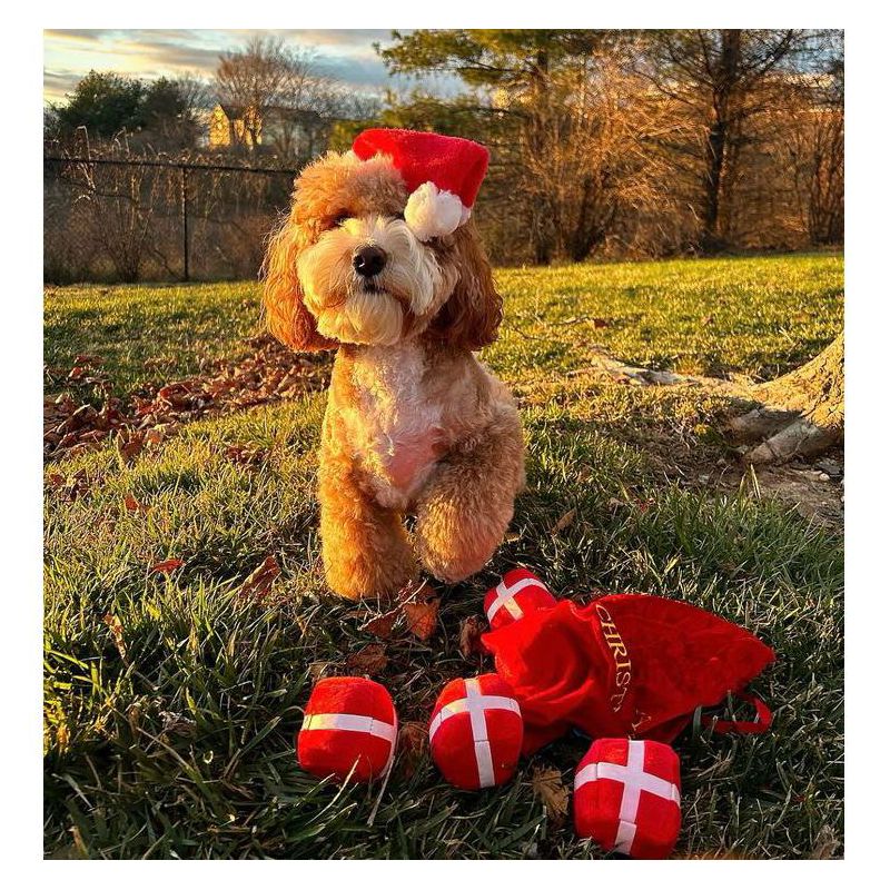 Midlee Santa's Gift Bag Dog Toy - 2.5", 4 of 6