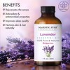 Majestic Pure Lavender Essential Oil with Dropper - 100% Pure and Natural Premium Grade - 1 Fl Oz - 3 of 4