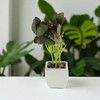 Unique Bargains Artificial Plants Ceramic Pot 2.01"x2.01"x5.51" 1 Pc - 2 of 4