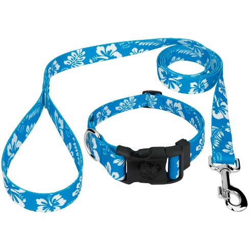 Dog leash hot sale target