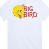 Boys' - Sesame Street - Big Bird Short Sleeve Graphic T-Shirt - 2 of 4