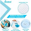 PetsWorld Economy Value (23x36 inch) Puppy Training & Potty Pads 300 Count - 3 of 4