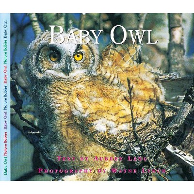  Baby Owl - (Nature Babies) by  Aubrey Lang (Paperback) 