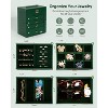 Synthetic Leather Huge Jewelry Box Mirrored Watch Organizer Necklace Ring Earring Storage Lockable - 3 of 4