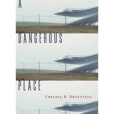 A Dangerous Place - by  Chelsea B Desautels (Paperback)