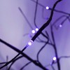 Resenkos 3-Pack Halloween Lighted Tree Set, 4ft 5ft 6ft Spooky Trees with Purple LED Lights for Outdoor Decor, Black and Purple - 4 of 4