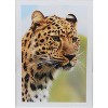 PPD Glossy Photo Paper 11x14" 50 sheets 180 gsm for Inkjet Printers - 4 of 4