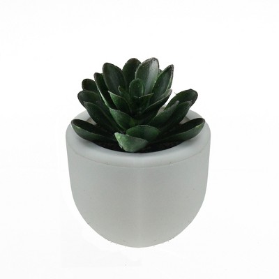 Northlight 3" Succulent Artificial Potted Plant Table Top Decoration - Green/White