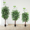 Whizmax Artificial Ficus, Fake Ficus Silk Tree with Natural Wood Trunk in Plastic Nursery Pot for Indoor Outdoor House Living Room Office - 4 of 4