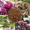 Soil Sunrise 100% Organic Orchid Potting Bark, Natural USA-Sourced Pine Bark Additive - 3 of 4