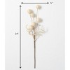 Sullivans Artificial Ball Hemp Stem 24"H Off-White - 2 of 2