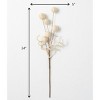 Sullivans Artificial Ball Hemp Stem 24"H Off-White - image 2 of 2