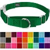 Country Brook Petz Heavyduty Nylon Martingale with Premium Buckle - 3 of 4