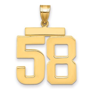 Black Bow Jewelry 14k Yellow Gold, Athletic Collection, Large Polished Number 58 Pendant - 1 of 3