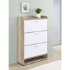 Coaster Denia 3 Tier Modern Wood Shoe Cabinet - 2 of 4