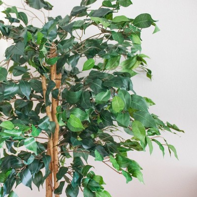 63" Silk Green Potted Outdoor Ficus Floor Plant