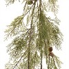 Pine and Pinecone Garland (Set of 2) - 2 of 2
