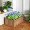 Tangkula Raised Garden Bed 46" x 24" x 16" Wooden Planter Box with 4 Drainage Holes Raised Garden Bed for Vegetables - 2 of 4