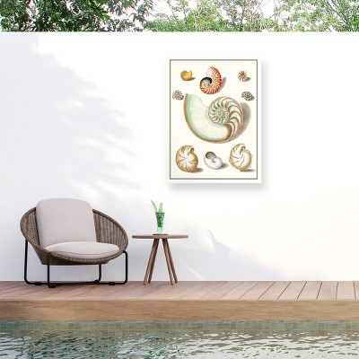 "Collected Shells II" Outdoor Canvas