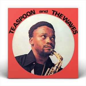 Teaspoon & the Waves - Teaspoon and the Waves - 1 of 1