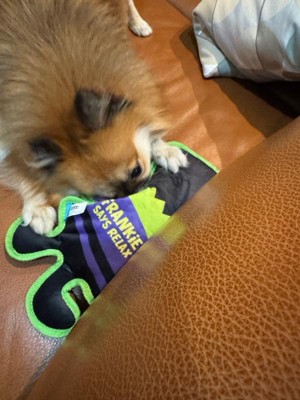 Guest review image 2 of 5, zoom in