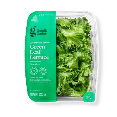 Greenhouse Grown Green Leaf Lettuce - 4.5oz - Good & Gather™