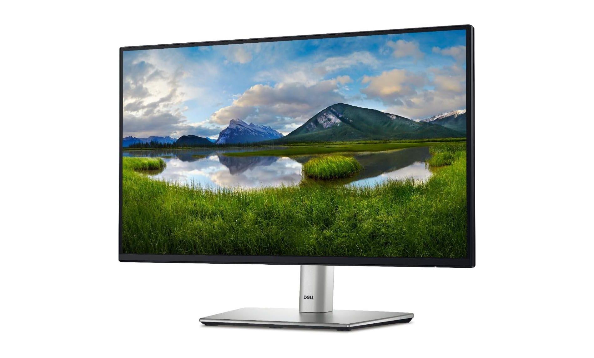 Dell 24 Monitor - P2422H - Full HD 1080p, IPS Technology, ComfortView Plus Tech - Scratch & Dent