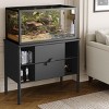 Coucheta Large Reptile Terrariums - Front Opening Glass Enclosures with Ventilated Screen Tops for Lizards, Snakes and Other Reptiles - 2 of 4