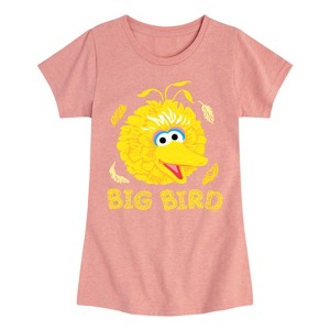 Girls' - Sesame Street - Big Bird Face Fitted Short Sleeve Graphic T-Shirt - 1 of 4