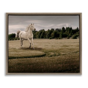 Stupell Industries Galloping Through Field Horse Floating Frame Canvas Art - 1 of 4