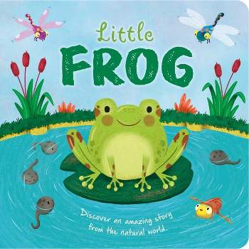 Nature Stories: Little Turtle-Discover an Amazing Story from the Natural  World, Book by IglooBooks, Gisela Bohórquez, Official Publisher Page