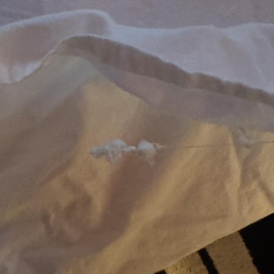 Guest review image 1 of 1, zoom in