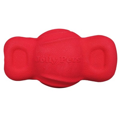 Jolly Pets Teeter Dog Toy