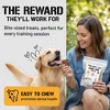 Dog Chits Lamb Lung Fillets Dog and Puppy Treats | Made in USA | Easy to Break Slices | Great for Training - 3 of 4