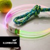 Nite Ize NiteHowl Max Rechargeable LED Safety Necklace - Dog Accessories for Long & Fluffy Coats - LED Glow Necklace for Dogs - Disc-O Select - 3 of 4