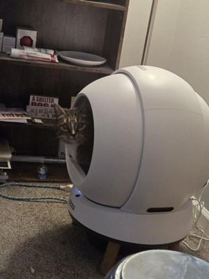 Guest review image 3 of 4, zoom in