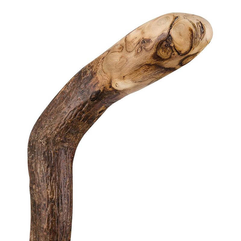 Brazos Knob Root Natural Hardwood Wood Walking Stick 37 Inch Height, 3 of 5