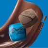 Dove Promises Milk Chocolate Candy - 7.61oz - 4 of 4