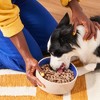 Heckova! Freeze-Dried Raw Bow Wow Beef Flavor Recipe Dry Dog Food - 8oz - 4 of 4